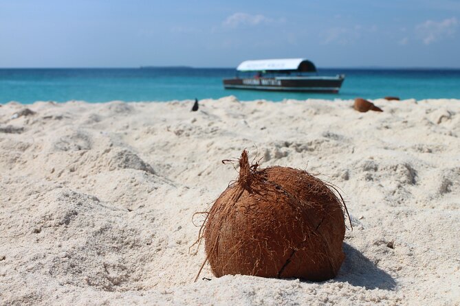 Stone Town and Prison Island Tour (Full Day) - The Prison Island boat trip needs clearer detail