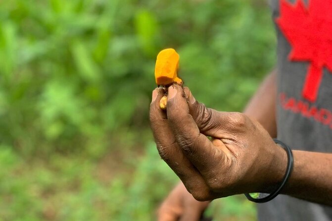 STONE TOWN and SPICE FARM TOUR ( Lunch Included ) - Swahili lunch in Stone Town