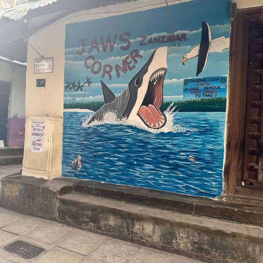 Stone Town Guided Tour: Culture, Slave Market & Spice Market - Why this Stone Town walk works so well