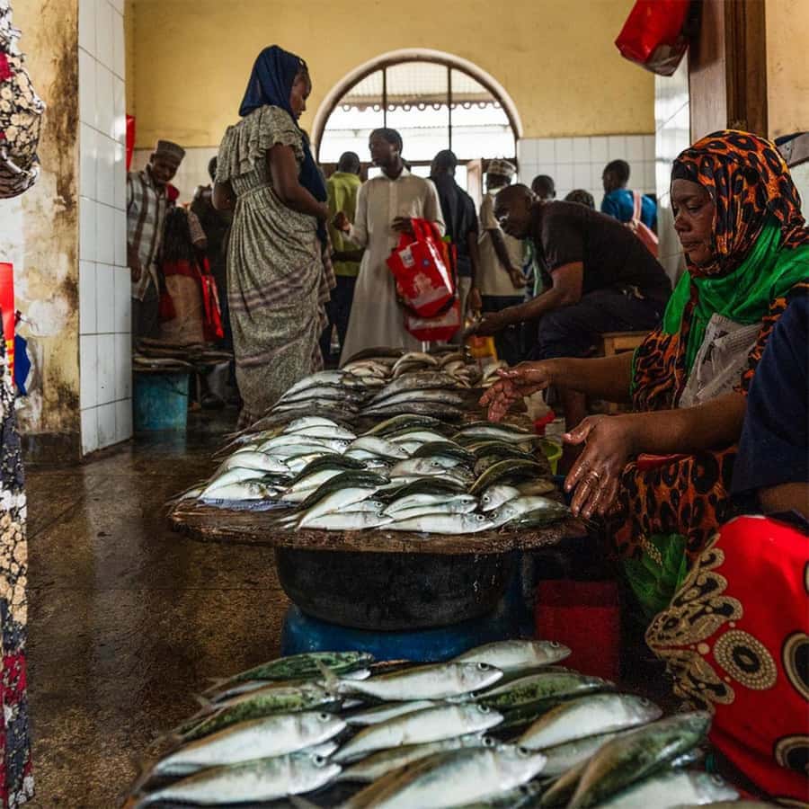 Stone Town Guided Tour: Culture, Slave Market & Spice Market - Freddie Mercury’s House and the modern city
