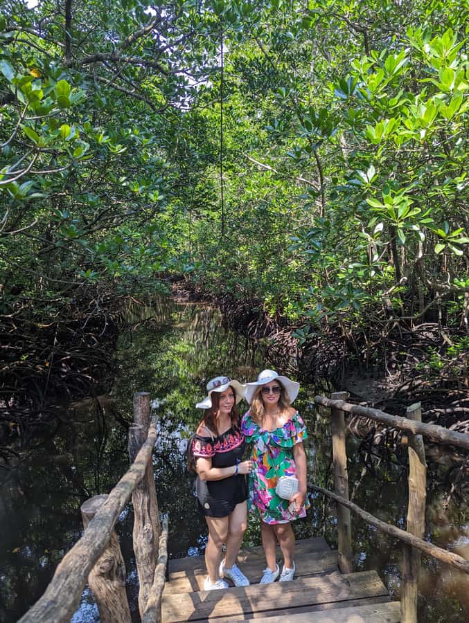 Stone Town: Jozani Chwaka Bay National Park Half-Day Tour - Shoes, weather, and physical demands