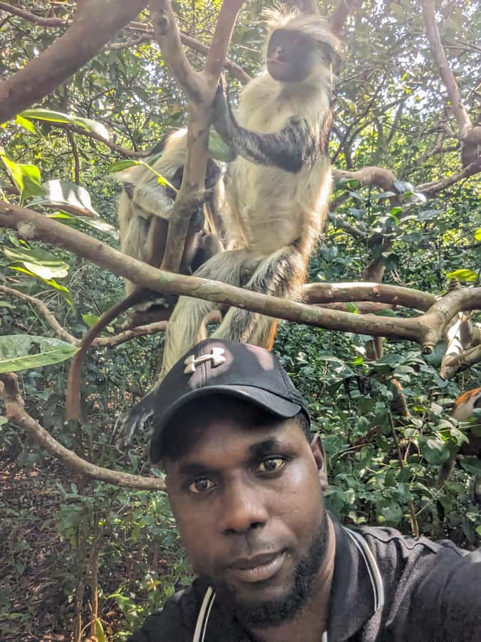 Stone Town: Jozani Chwaka Bay National Park Half-Day Tour - FAQ