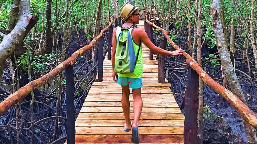 Stone Town: Jozani Chwaka Bay National Park Half-Day Tour - The mangrove boardwalk offers a useful change