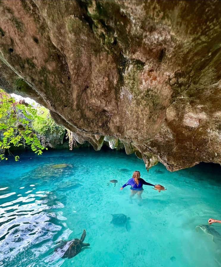 Stone Town, Jozani Forest, Sea Turtles & The Rock Restaurant - The road time matters more than the brochure suggests