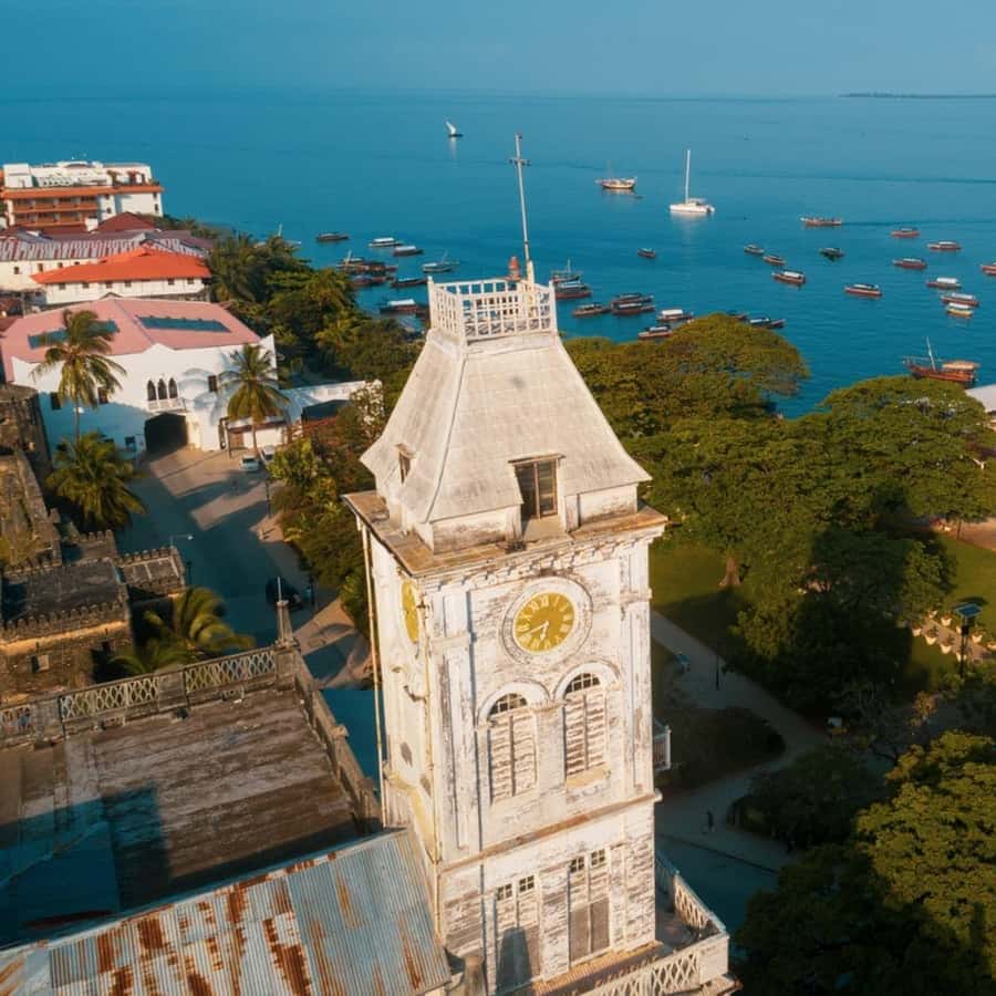 Stone Town, Jozani Forest, Sea Turtles & The Rock Restaurant - Who gets the best value from this tour?