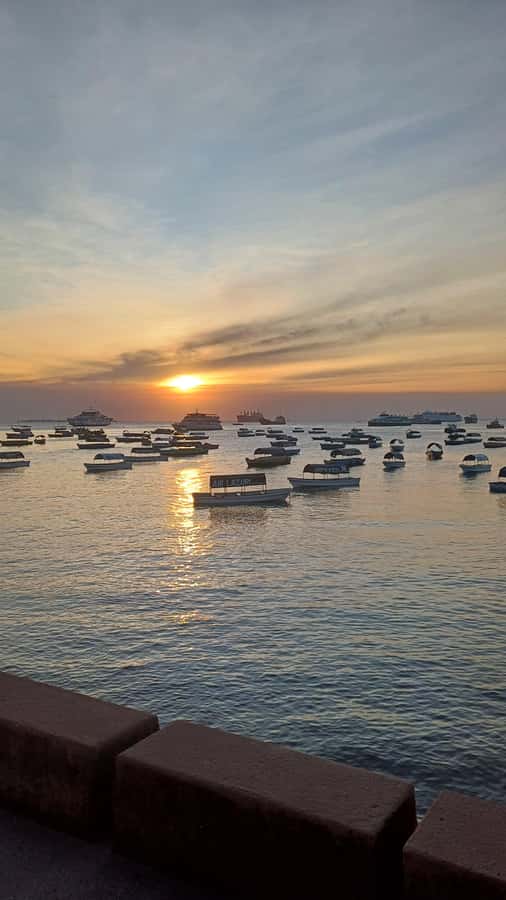 Stone Town Private Guided Walking Tour - Forodhani, the waterfront, and the city’s daily rhythm