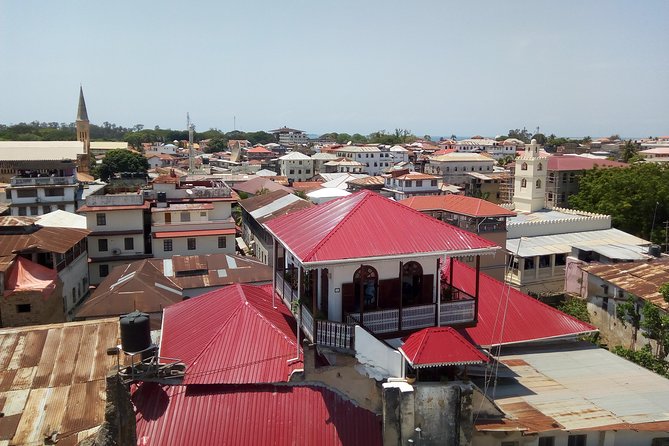 Stone Town Private Walking Tour - Markets, cathedrals, and local advice