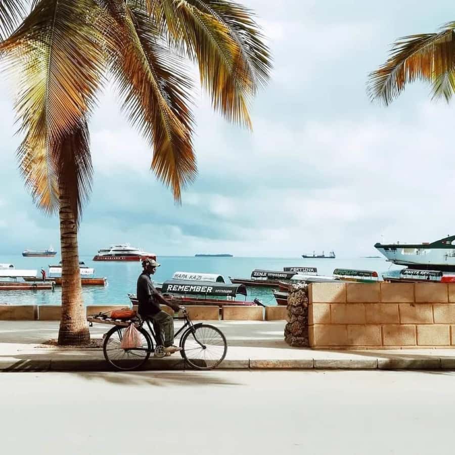 Stone town Private walking tour - Timing, pickup, and what to bring
