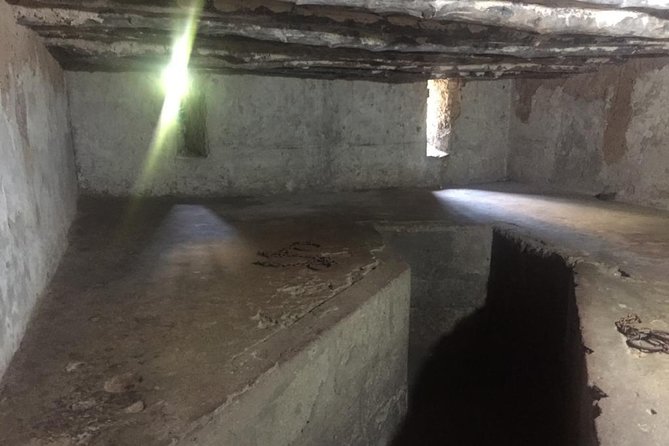 Stone Town, Spice Farm and Jozani Forest Private Tour - Key points before you book