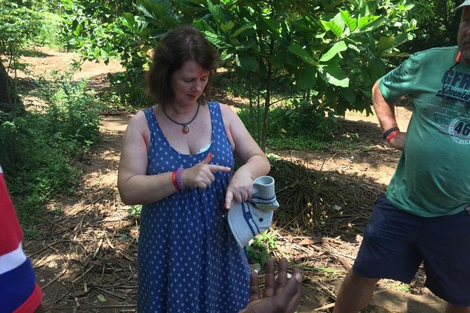 Stone Town, Spice Farm and Jozani Forest Private Tour - Jozani Forest and its rare red colobus monkeys