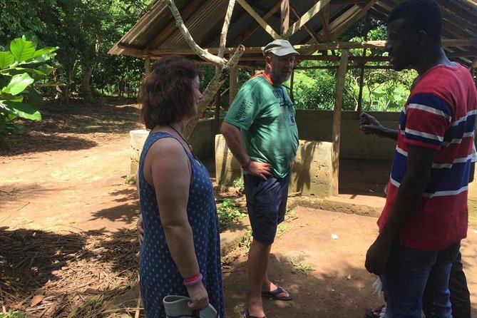 Stone Town, Spice Farm and Jozani Forest Private Tour - Timing, transport, and the value of going private
