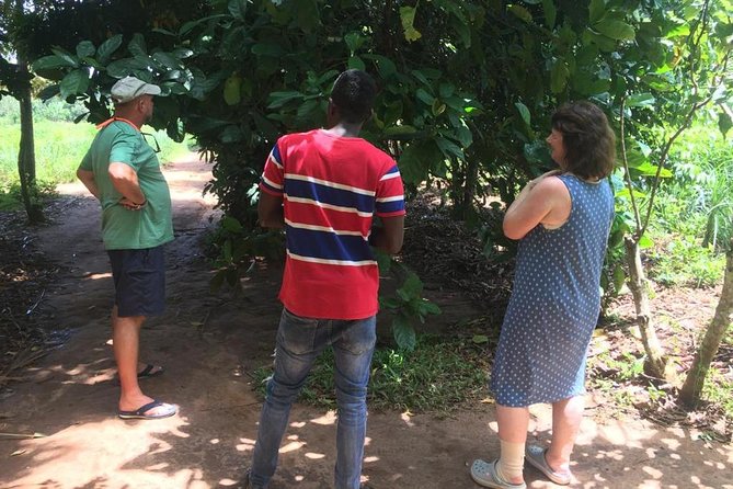 Stone Town, Spice Farm and Jozani Forest Private Tour - What the $89.99 price really covers