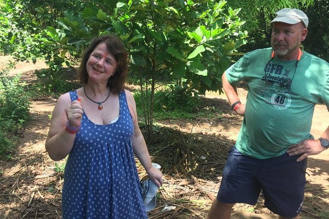 Stone Town, Spice Farm and Jozani Forest Private Tour - Should you book this Zanzibar day tour?