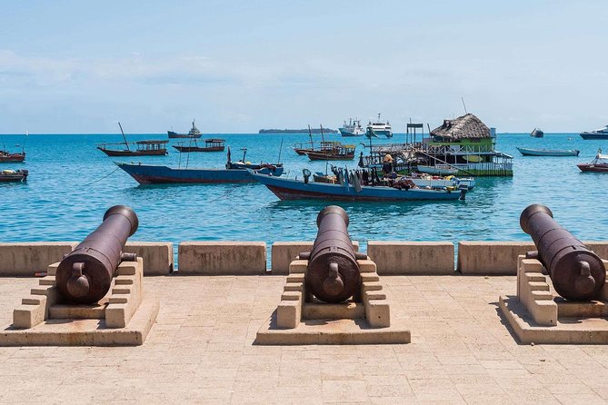 Stone Town & Spice Tour, Zanzibar secrets with Lunch - Zanzibar - Who should book this experience?