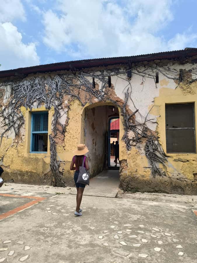 Stone town tour, Prison island and Nakupenda Sandbank - Why this day works for first-time Zanzibar visitors