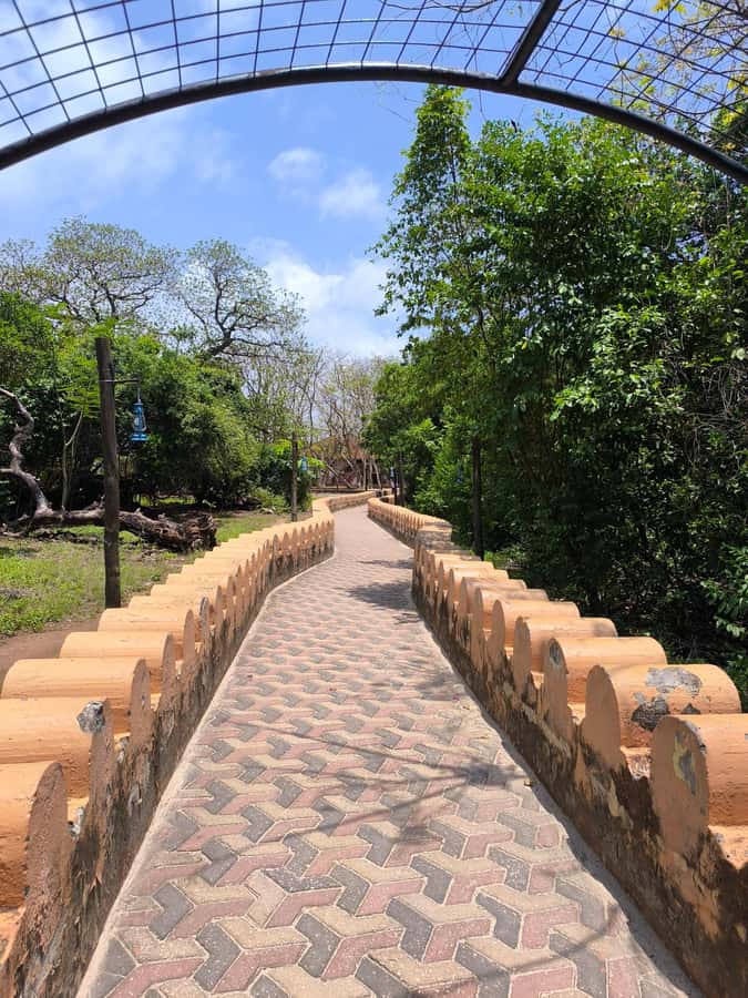 Stone town tour, Prison island and Nakupenda Sandbank - Prison Island, tortoises, and colonial-era remains