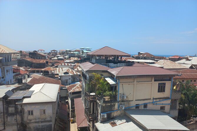 Stone Town Walking Tour - Starting at Forodhani Park and meeting your guide