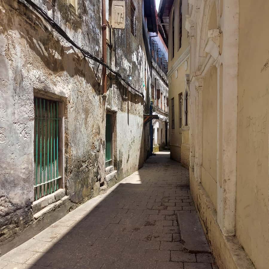 Stone town walking tour ( City tour) - Starting at Forozani Park and finding your guide