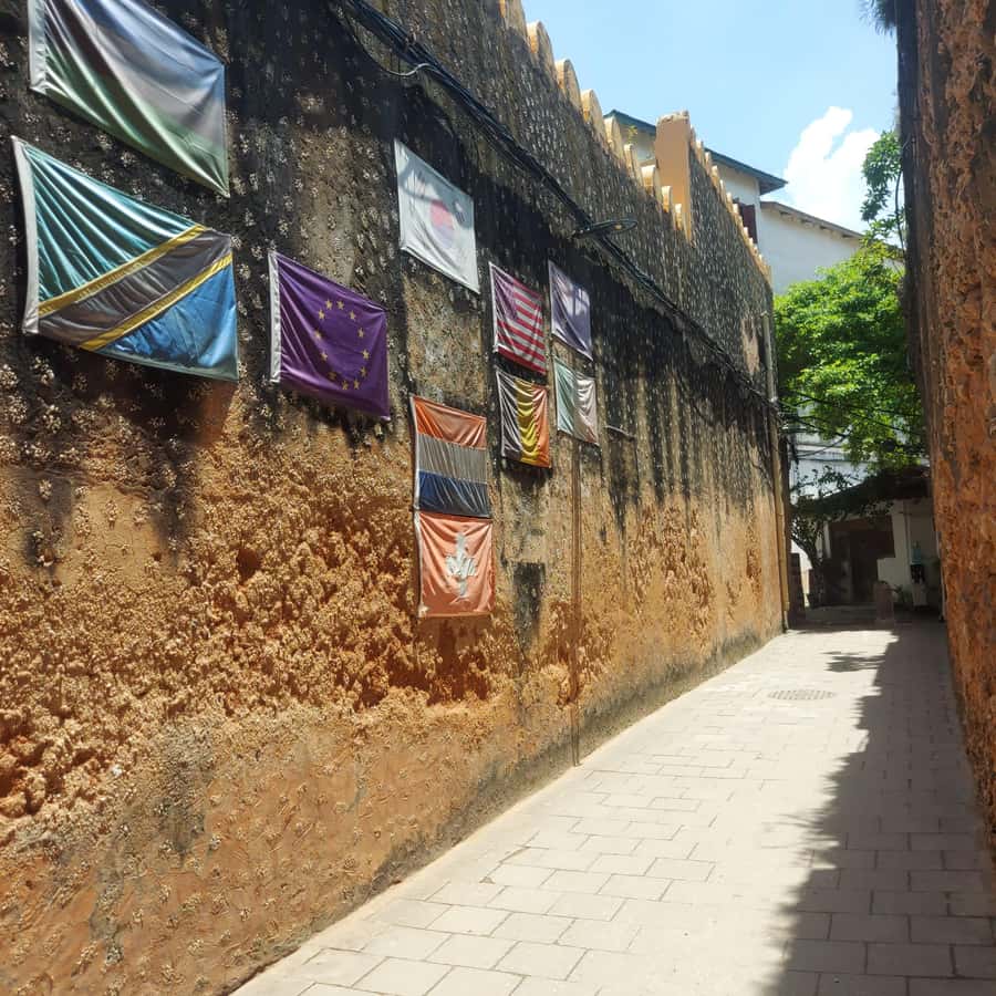 Stone town walking tour ( City tour) - Palace museums and the city’s architecture