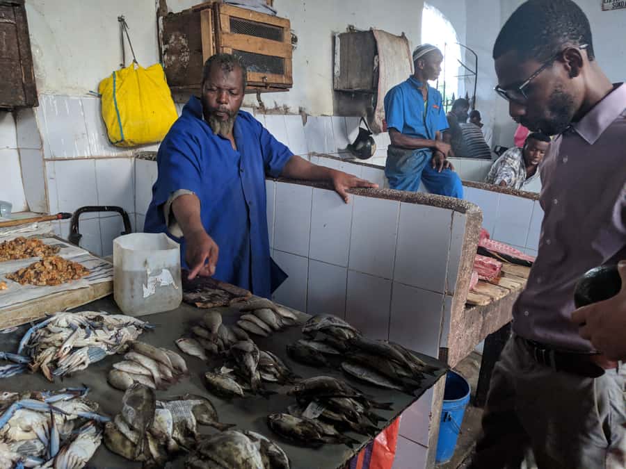 Stonetown Historical Walking Tour & Traditional Lunch - Palace Museum, House of Wonder, and Stone Town’s grand buildings