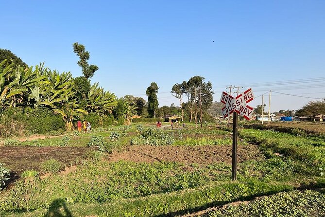 Street Food and Community Walking Tour - Urban farming and the work behind the neighborhood