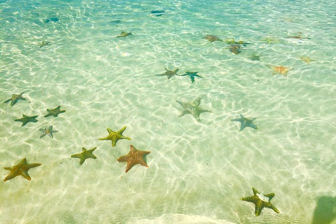 Super Zanzi, Nakupenda, Prison Island & Stone Town - Zanzibar - What the $42 price really buys you