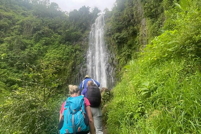 Swim to Materuni and Kikuletwa Hotspring - What guides John and Treasure add