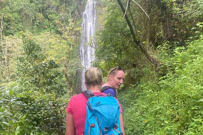 Swim to Materuni and Kikuletwa Hotspring - Learning coffee from the first step to the last