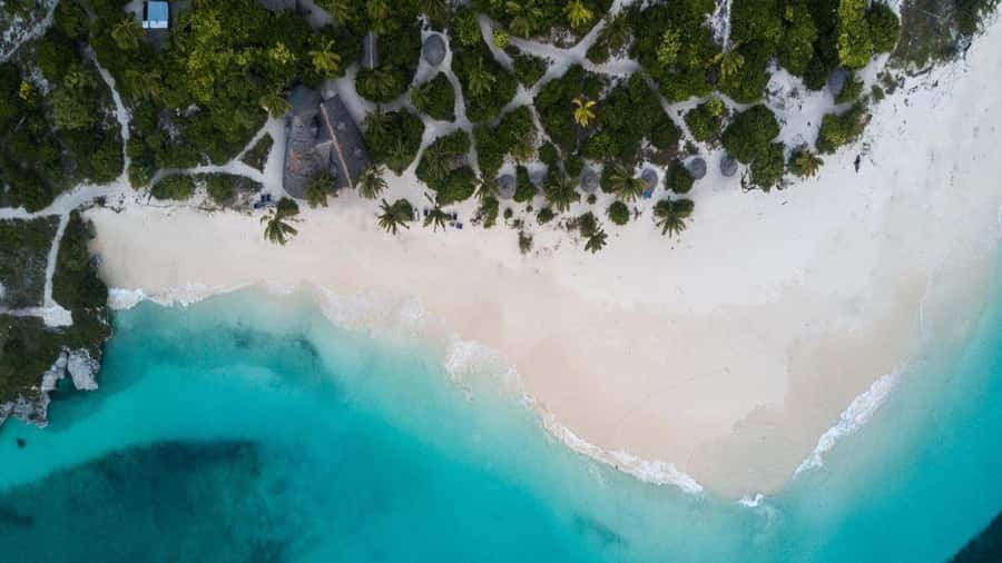 Swim with Sea Turtles, Kuza Cave, Paje Beach, The Rock Lunch - The Rock, a scenic finish with an extra bill