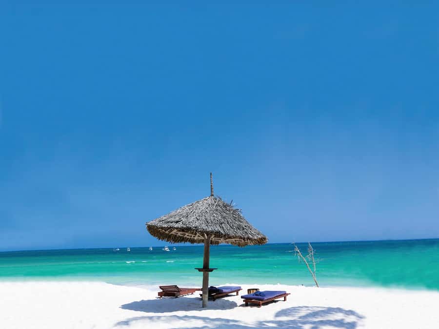 Swim with Sea Turtles, Kuza Cave, Paje Beach, The Rock Lunch - Should you book this Zanzibar day tour?