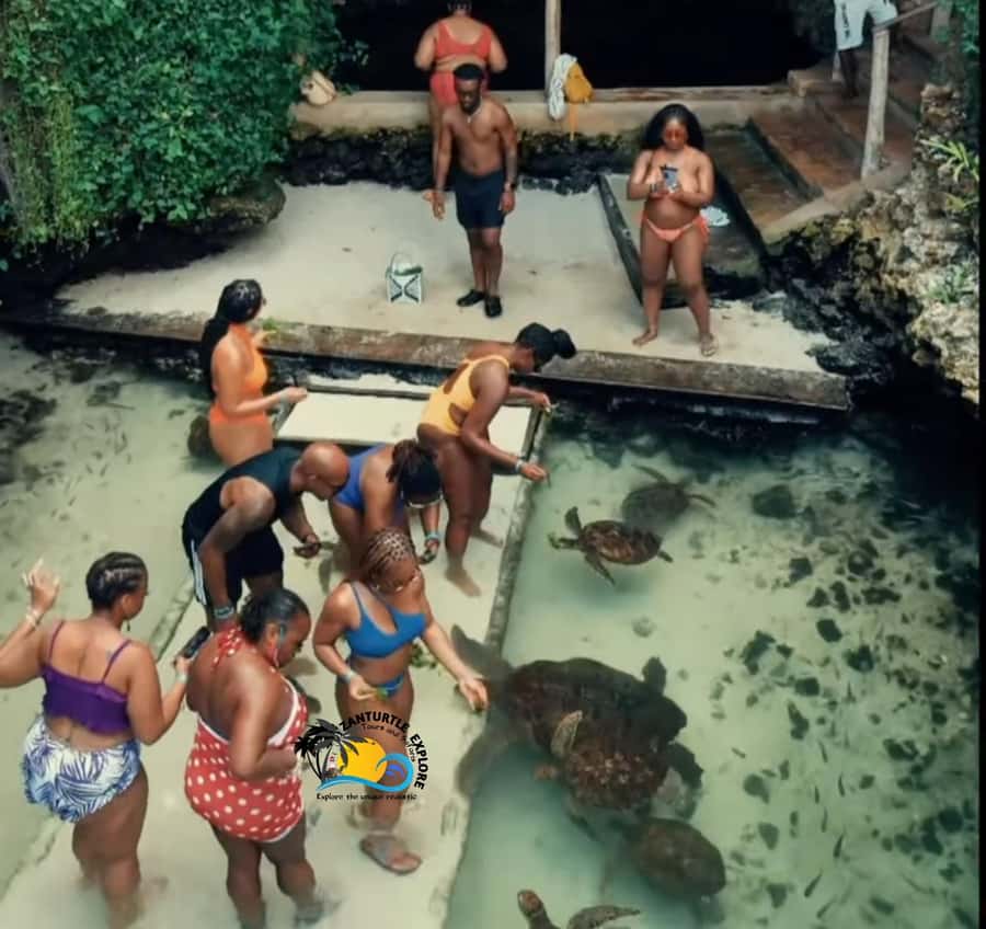 Swim with Turtles at The Lagoons Zanzibar & Stone Town Tour - Who will enjoy this Zanzibar combination