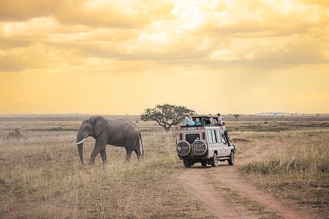 Tanzania Classic - 7 Days - Day 1: A simple arrival in Arusha