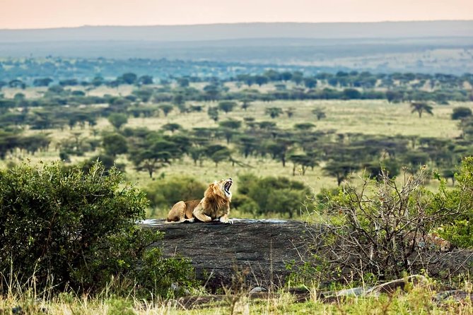 Tanzania Classic - 7 Days - Day 3: The long road to the Serengeti