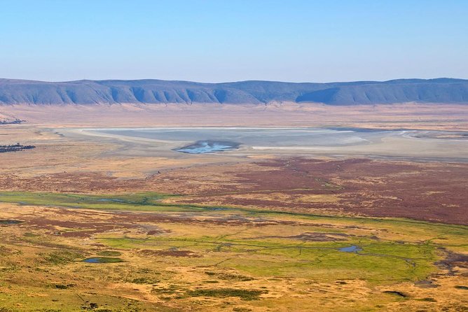Tanzania Classic - 7 Days - Day 5: One last Serengeti morning, then east to Ngorongoro