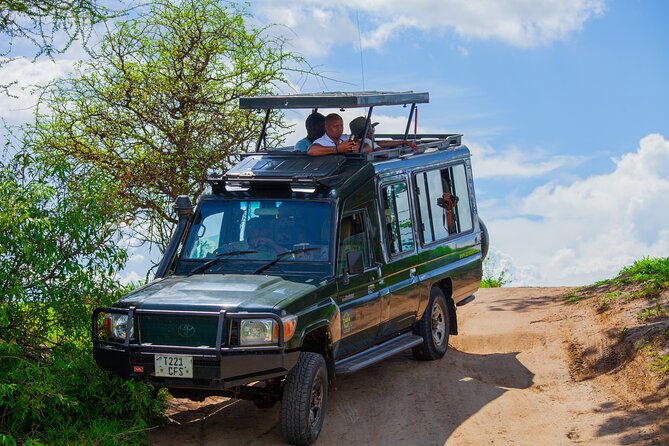 Tanzania Classic Safari 3 Days / 2 Nights - Day three: monkeys, elephants, and Lake Manyara