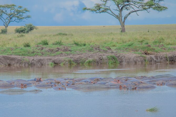 Tanzania Classic Safari 3 Days / 2 Nights - What the 4x4 safari vehicle is really like