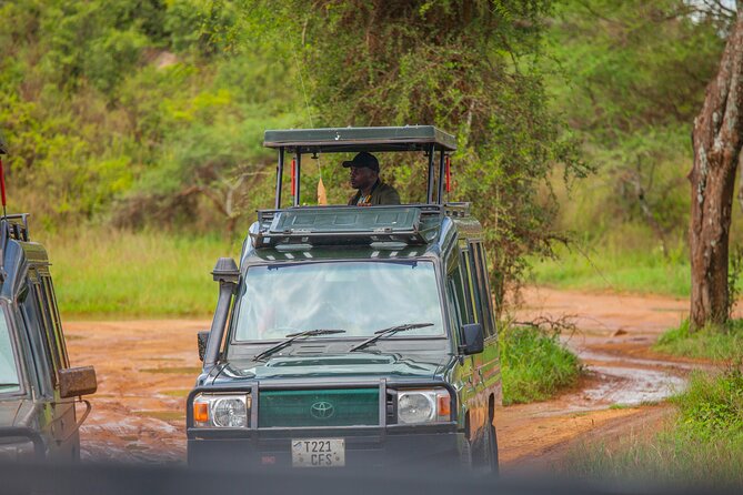 Tanzania Classic Safari 3 Days / 2 Nights - Day two: the Ngorongoro Crater game drive