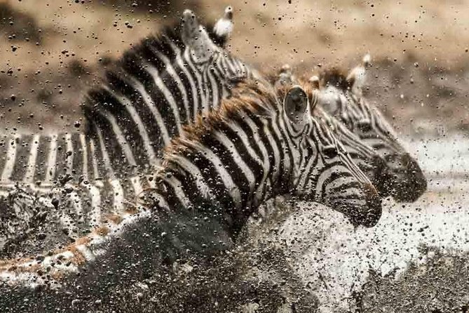 Tanzania Classic Safari - 7 Days - Why the Serengeti gets the most time