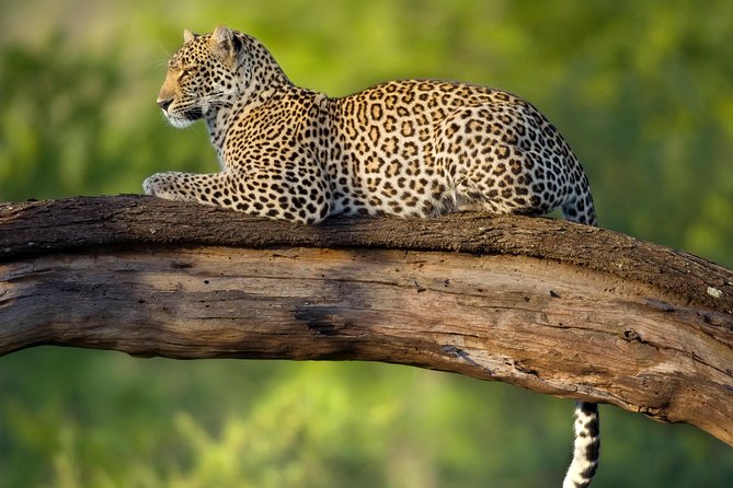 Tanzania Classic Safari - 7 Days - Day 6: Mto wa Mbu and the trip home