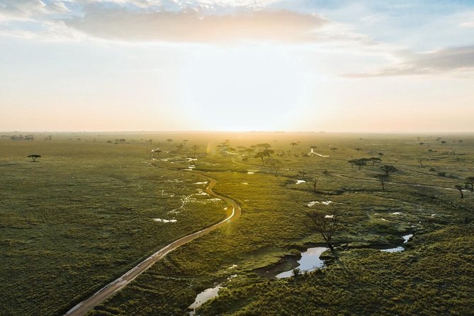 Tanzania Enticing Explorations - 6 Days - Day five: the 6 a.m. descent into Ngorongoro Crater