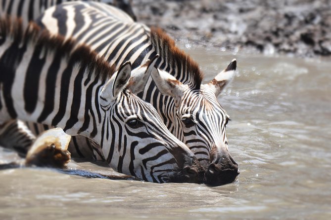 Tanzania Experience Safari and Tours - What the $3,150 price covers