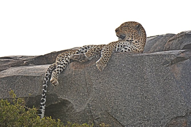 Tanzania Experience Safari and Tours - Who should book this safari