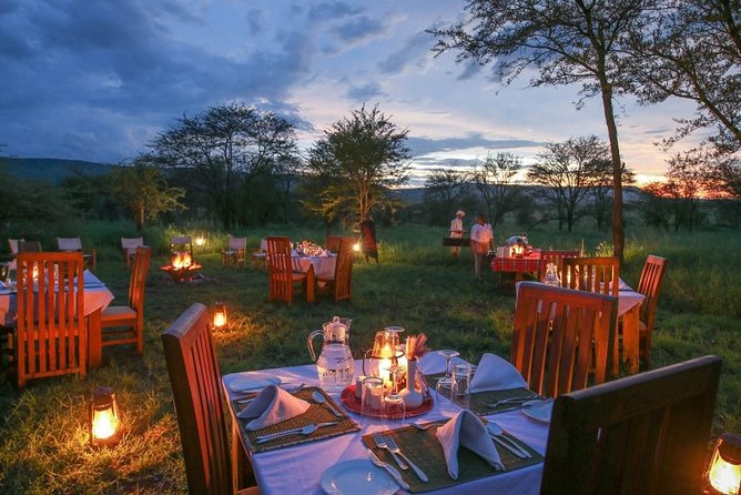 Tanzania Safari 10 Days- Serengeti, Lake Manyara, Ngorongoro Crater. - Days 1 and 2: elephants and baobabs in Tarangire