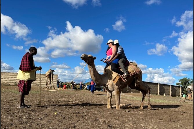 Tanzania Safari and Kilimanjaro Climb Multi-Day Experience - Why this safari and climb combination works