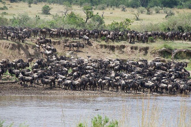 Tanzania Safari - The Great Migration in the North of the Serengeti and Lake Natron - Why this route works for a first Tanzania safari
