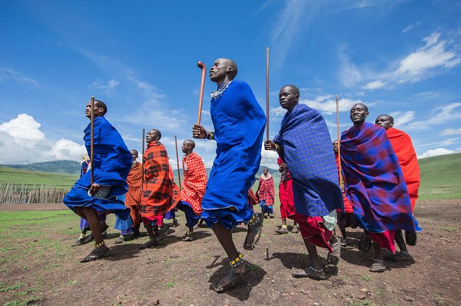 Tanzania Safari - The Great Migration in the North of the Serengeti and Lake Natron - Day 2: The Ngorongoro Crater is compact and wildlife-filled