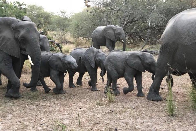 Tanzania safari with guide in Italian, the great Migration of the Serengeti - Days 4 and 5: Entering the Serengeti and following the migration