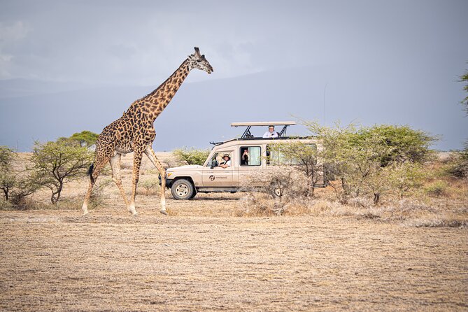Tanzania Simba Safari - 5 Days - Day 2: The long road west to Serengeti