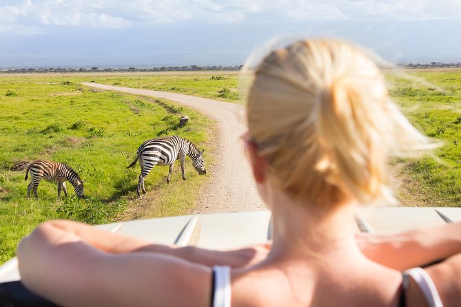 Tanzania Simba Safari - 5 Days - Why the private vehicle makes a difference
