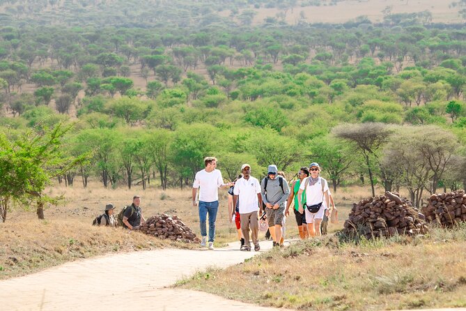 Tanzania Through The Rift Valley - 5 Days - Day 4: A Serengeti morning, then Ngorongoro